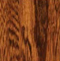 Elm sample